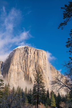 Yosemite Ulusal Parkı, Kaliforniya ABD