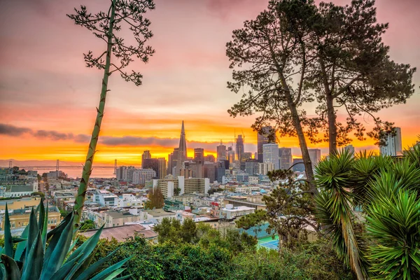 夕暮れ時にアメリカのサンフランシスコのダウンタウンのビジネスセンターの美しい景色 — ストック写真