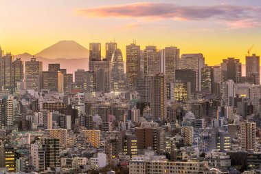 Japonya 'da Tokyo silueti ve Fuji Dağı