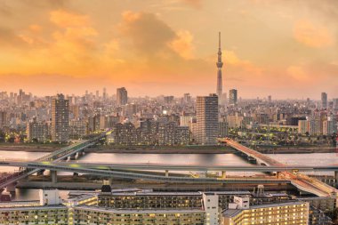 Japonya 'da gün batımında Tokyo şehri ufuk çizgisi