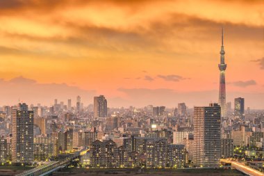 Japonya 'da gün batımında Tokyo şehri ufuk çizgisi