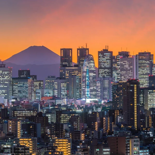 Skyline Tokio Fuji Montaña Japón — Foto de Stock