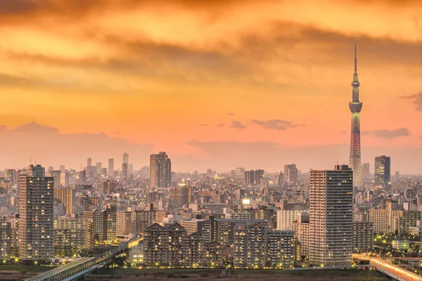 Skyline Tokyo Stad Bij Zonsondergang Japan — Stockfoto