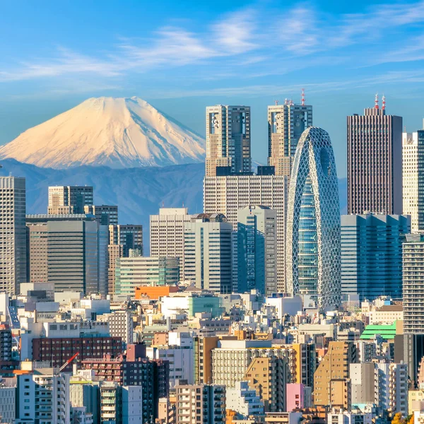 Tokijské Panorama Horská Fuji Japonsku — Stock fotografie