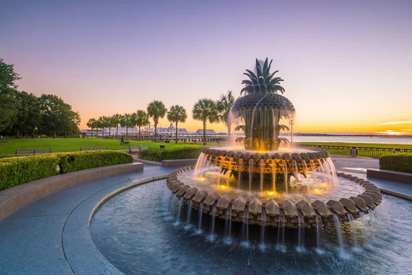 Güney Carolina Charleston Daki Waterfront Park Taki Ananas Çeşmesi Abd — Stok fotoğraf