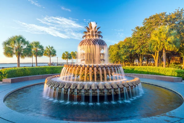 Ananasbrunnen Waterfront Park Charleston South Carolina Usa — Stockfoto