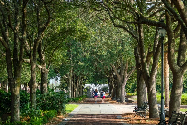 Waterfront Park Charleston South Carolina Verenigde Staten — Stockfoto