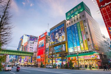Tokyo, Japonya - 28 Mart 2017: 28 Mart 2017 'de Akihabara elektronik merkezindeki neon tabelalar ve reklam panoları