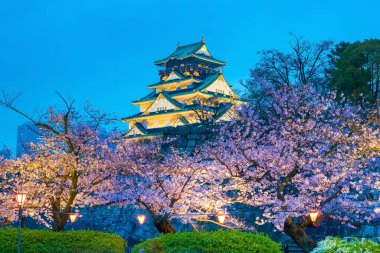 Japonya 'da Sakura' nın açtığı Osaka Kalesi.