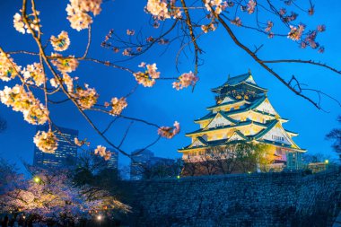 Japonya 'da Sakura' nın açtığı Osaka Kalesi.