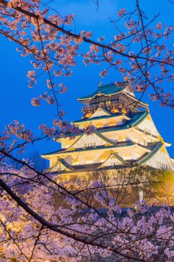 Japonya 'da Sakura' nın açtığı Osaka Kalesi.