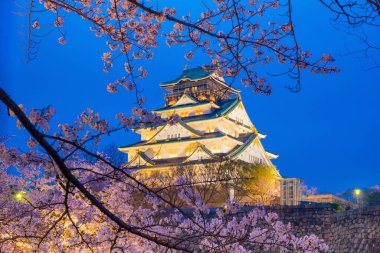 Japonya 'da Sakura' nın açtığı Osaka Kalesi.