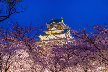 Japonya 'da Sakura' nın açtığı Osaka Kalesi.