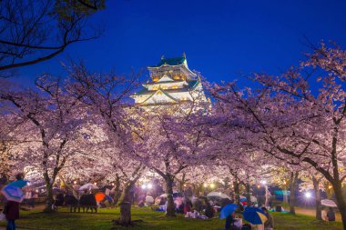 Japonya 'da Sakura' nın açtığı Osaka Kalesi.