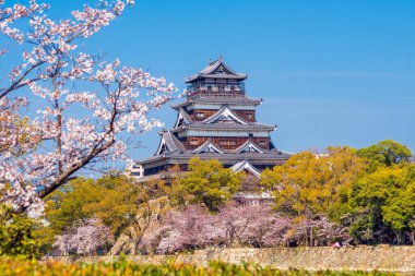 Japonya 'da Kiraz Çiçeği Mevsiminde Hiroşima Şatosu