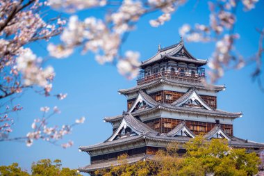 Japonya 'da Kiraz Çiçeği Mevsiminde Hiroşima Şatosu