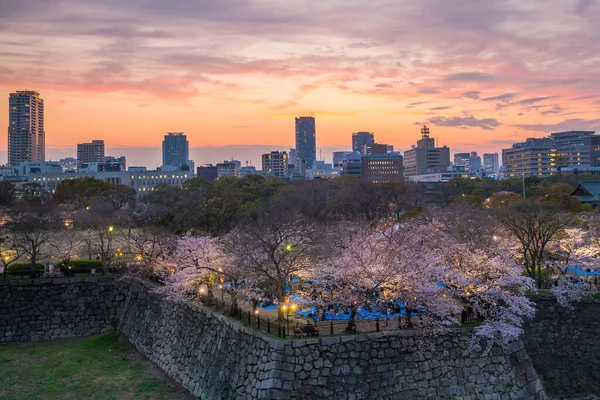 Городской Пейзаж Осаки Цветущей Сакурой — стоковое фото
