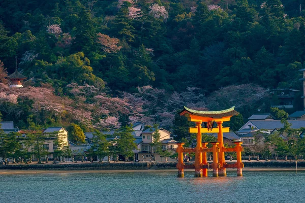 Drijvende Poort Van Itsukushima Heiligdom Met Sakura Miyajima Hiroshima Japan — Stockfoto