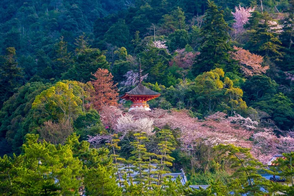 Svatyně Itsukushima Sakurou Miyajimě Hirošima Japonsko — Stock fotografie
