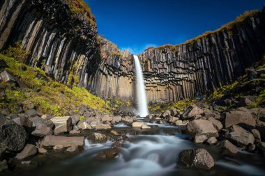 İzlanda 'da Svartifoss. Siyah bazalt lav altıgen sütunlarıyla çevrili dramatik şelale..