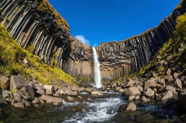 İzlanda 'da Svartifoss. Siyah bazalt lav altıgen sütunlarıyla çevrili dramatik şelale..