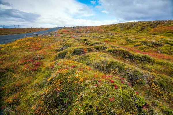 Prachtig Natuurlandschap Van Ijsland Herfst — Stockfoto