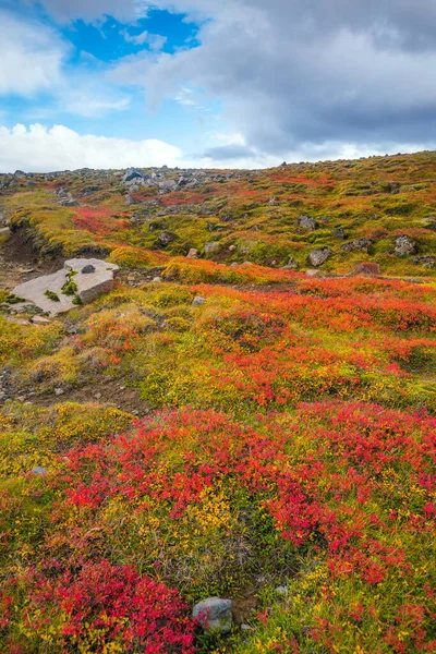 Piękny Krajobraz Islandii Jesienią — Zdjęcie stockowe