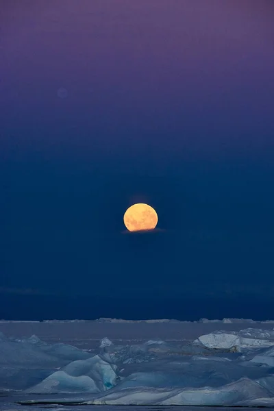 Antarktika Daki Süper Manzarası Antarktika Dolunay — Stok fotoğraf