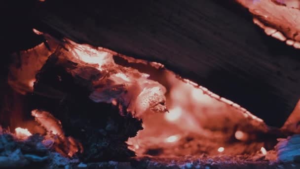 燃える木の丸太で焚き火を間近で見る — ストック動画