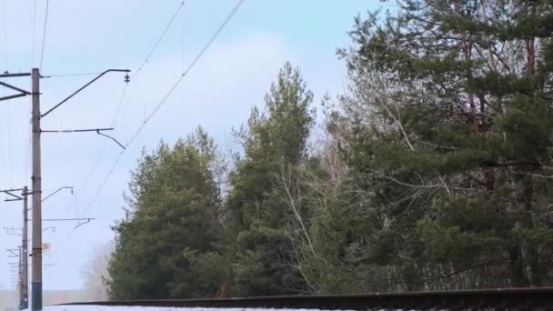晴れた日の冬の森のレールの映像 — ストック動画