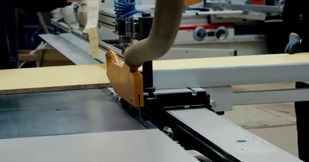 Close Footage Industrial Woodcutting Machine — Stock Video