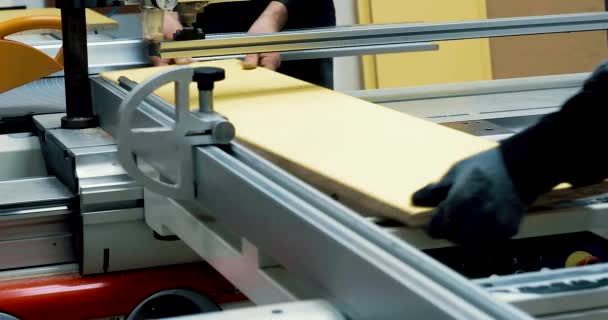 Zbliżenia Materiału Filmowego Przemysłowej Maszyny Cięcia Drewna — Wideo stockowe