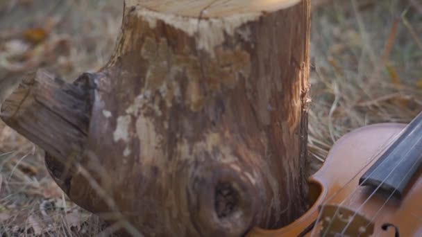 Piccoli Bambini Educativi Violino Sull Erba Nel Parco — Video Stock