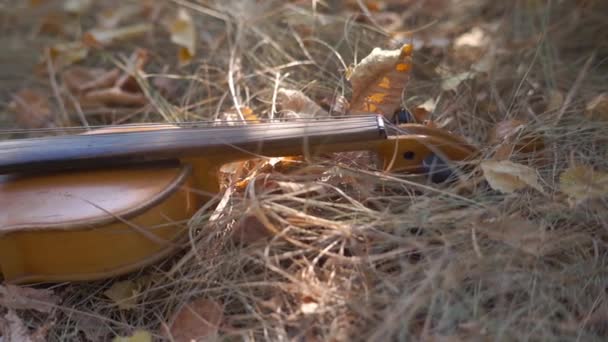 Pequeños Niños Educativos Violín Sobre Hierba Parque — Vídeos de Stock