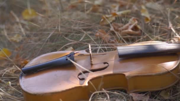 Pequeños Niños Educativos Violín Sobre Hierba Parque — Vídeos de Stock