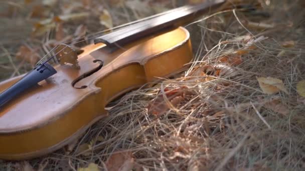 Petits Enfants Éducatifs Violon Sur Herbe Dans Parc — Video