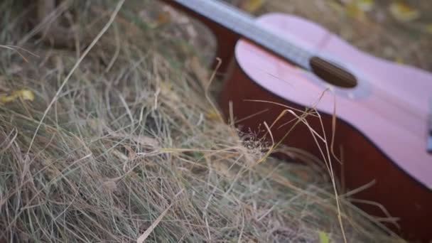 草の上に横たわるアコースティックギターのクローズアップ映像 — ストック動画