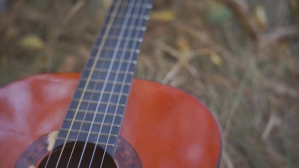 Imagens Close Guitarra Acústica Deitada Grama — Vídeo de Stock