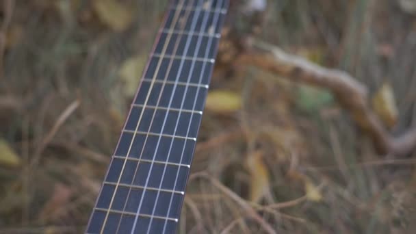 Material Primer Plano Guitarra Acústica Tumbado Hierba — Vídeo de stock