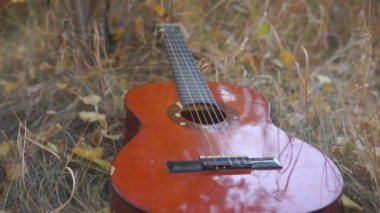 Çimlerin üzerinde duran akustik gitarın yakın çekim görüntüleri.