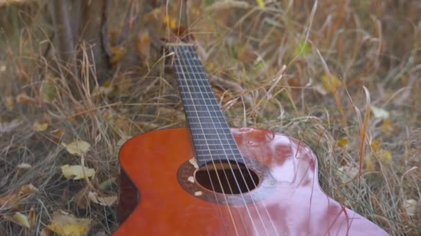 Крупним Планом Кадри Акустичної Гітари Лежить Траві — стокове відео