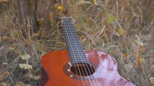 Close Beelden Van Akoestische Gitaar Liggend Gras — Stockvideo