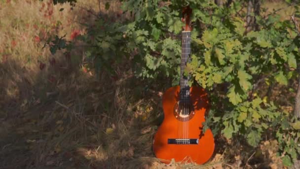 Крупним Планом Кадри Акустичної Гітари Лежить Траві — стокове відео