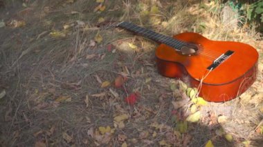 Çimlerin üzerinde duran akustik gitarın yakın çekim görüntüleri.