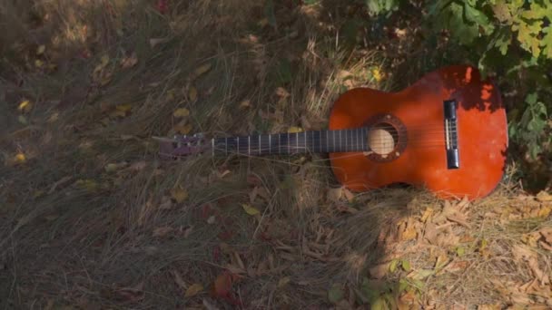 Close Footage Acoustic Guitar Lying Grass — Stock Video