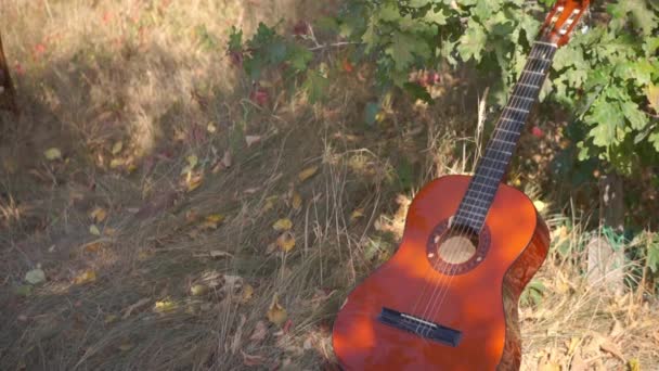 Imagens Close Guitarra Acústica Deitada Grama — Vídeo de Stock