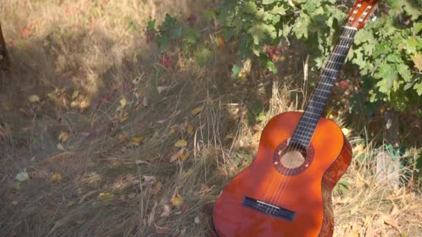 Nahaufnahme Einer Akustischen Gitarre Die Gras Liegt — Stockvideo