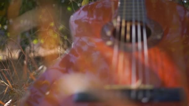 Material Primer Plano Guitarra Acústica Tumbado Hierba — Vídeos de Stock