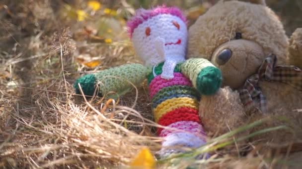 牧草地に横たわる柔らかいカラフルなおもちゃの風光明媚な映像 — ストック動画