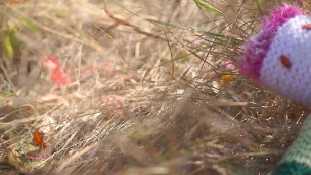 牧草地に横たわる柔らかいカラフルなおもちゃの風光明媚な映像 — ストック動画